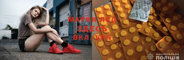 прущие грибы Алзамай