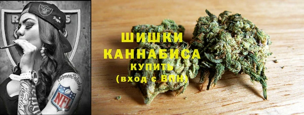 прущие грибы Алзамай